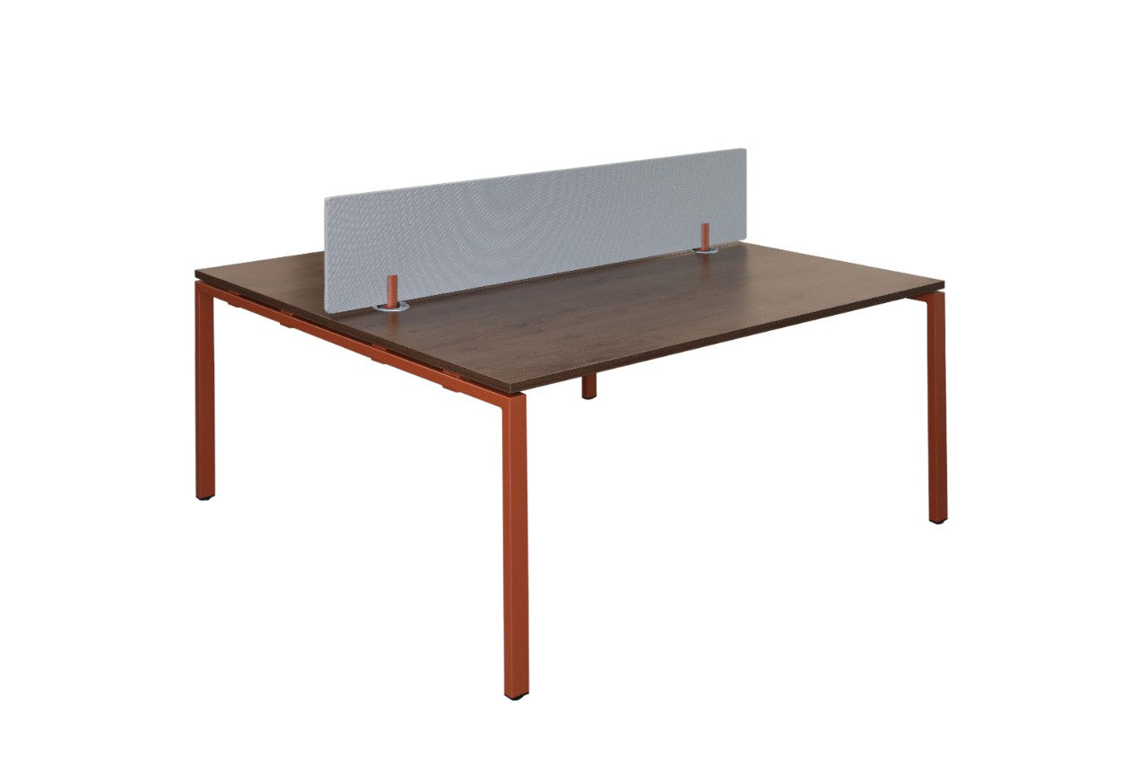 F2206.1 Doppeltisch mit Trennwand