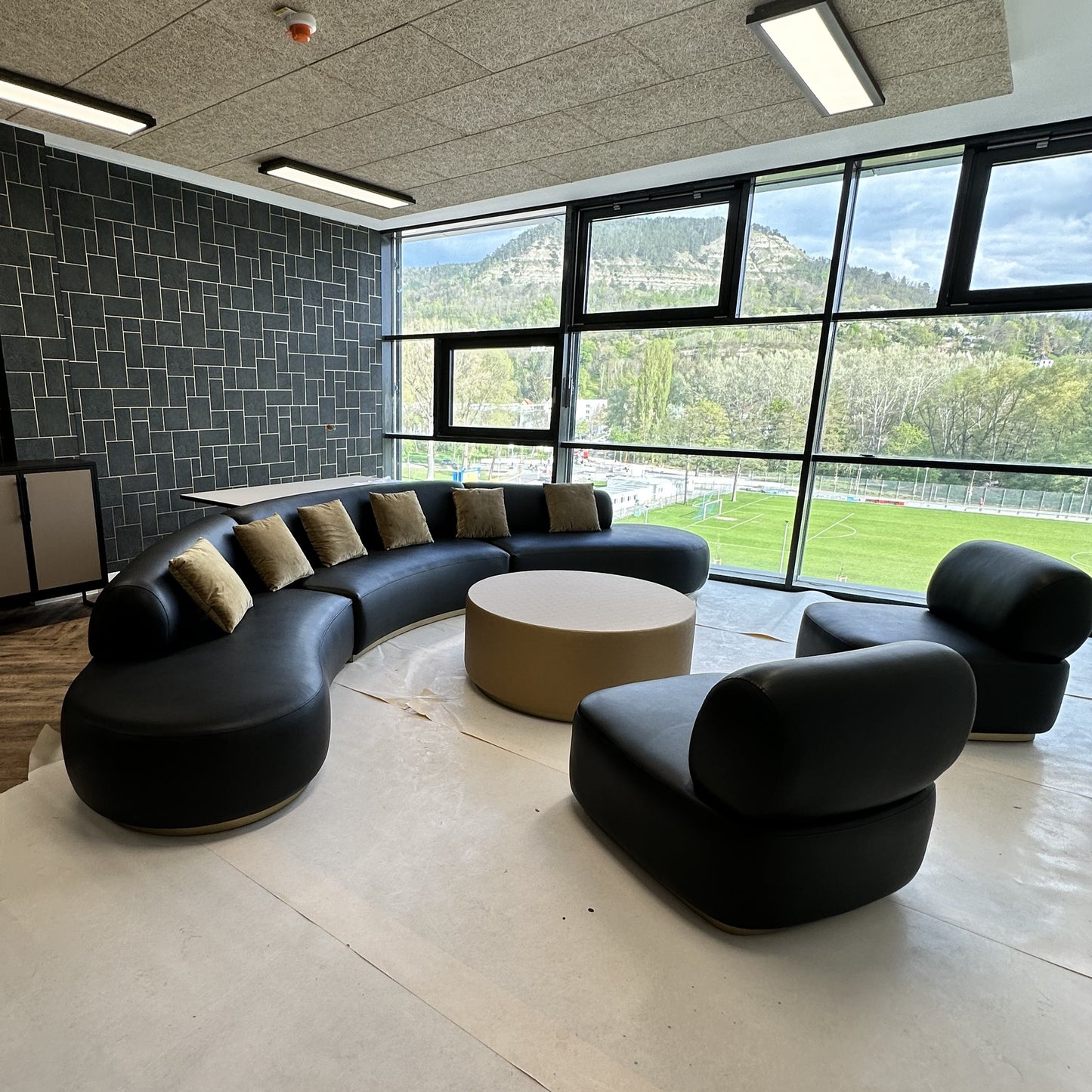 S2017 Ledersofa in geschwungener Form