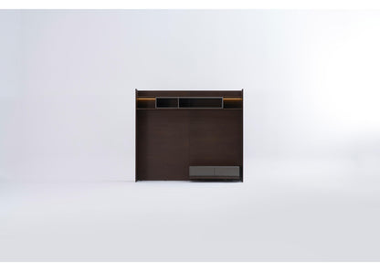 TU1202 TV-Einheit aus Nussbaum